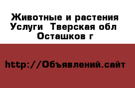 Животные и растения Услуги. Тверская обл.,Осташков г.